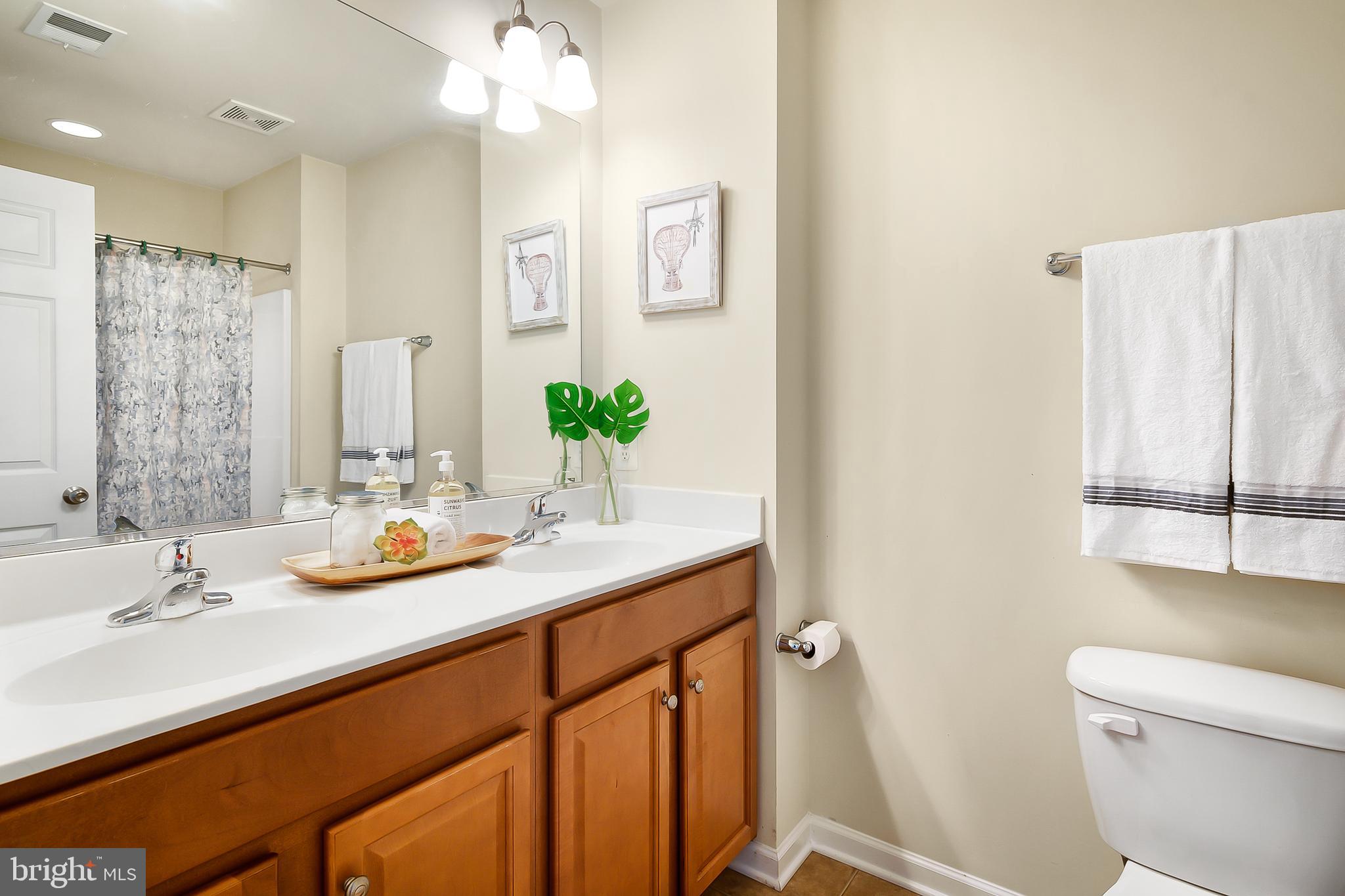 1152 Steed Street Ranson, WV 25438 - Photo 11 of 19 Primary Bathroom w/ Double Sinks & Shower/Tub Comb