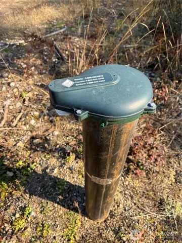 a view of a water fountain