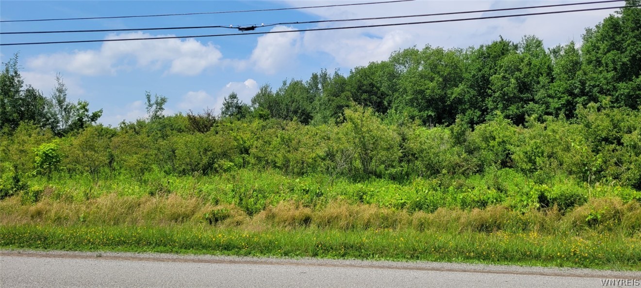 0 West Becker Road Collins, NY 14034 - Photo 1 of 1