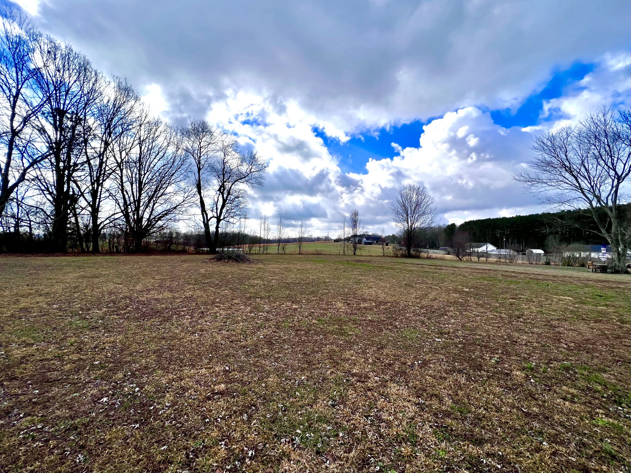 9 Ford Road Leoma, TN 38468 - Photo 5 of 19 a view of a yard