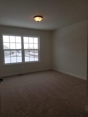 9626 Valley View Drive Saline, MI 48176 - Photo 38 of 53 20161221_135722