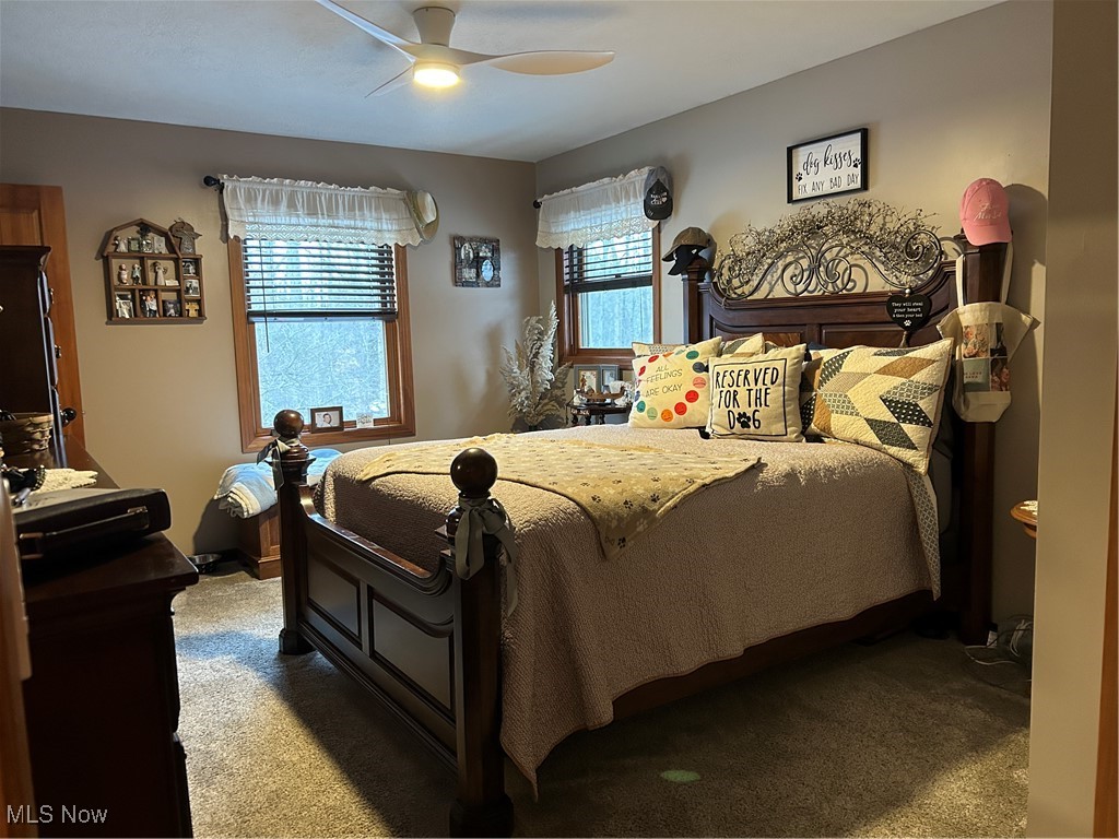 530 Midvale Mine Road Southeast Dennison, OH 44621 - Photo 25 of 42 Carpeted bedroom with multiple windows and a ceiling fan