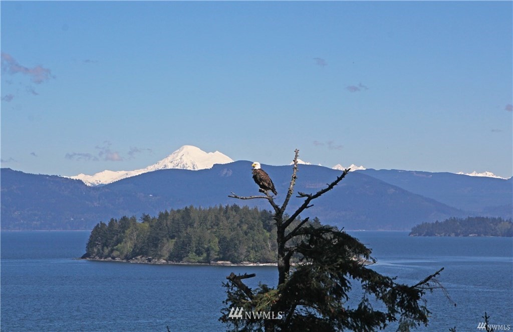 4717 Guemes Island Road Anacortes, WA 98221 - Photo 19 of 19 Gallery Image 19