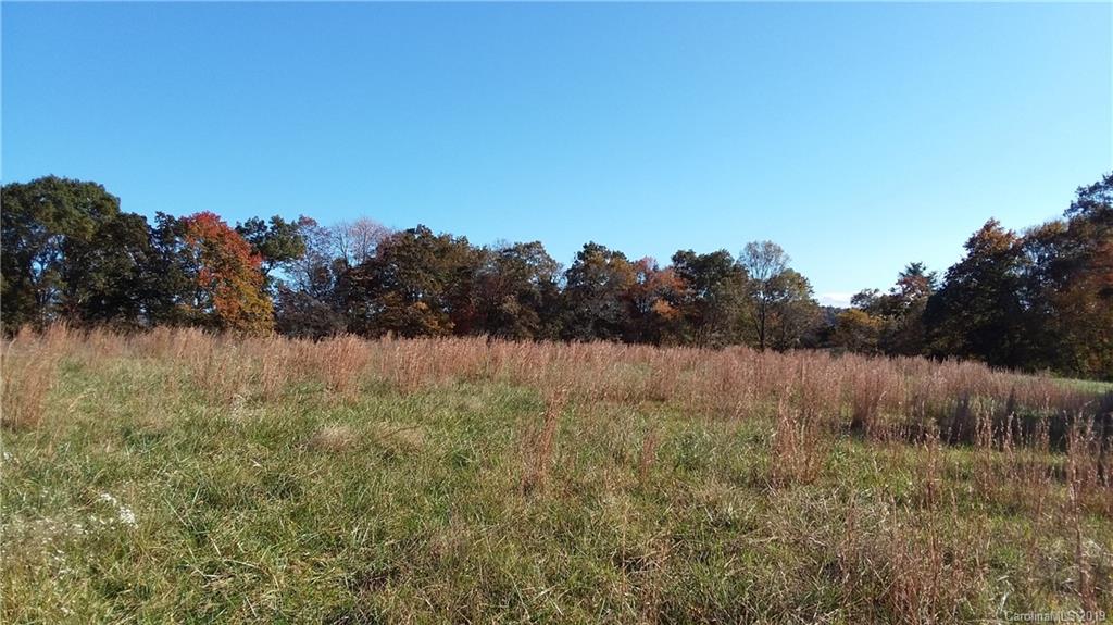 540 Gilreath Loop Road Mills River, NC 28759 - Photo 18 of 38 Gallery Image 18