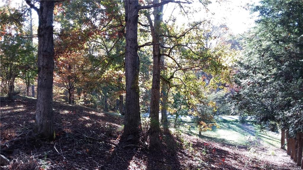 540 Gilreath Loop Road Mills River, NC 28759 - Photo 20 of 38 Gallery Image 20