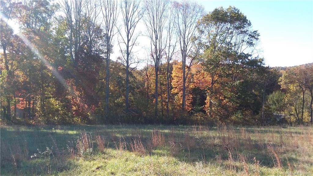 540 Gilreath Loop Road Mills River, NC 28759 - Photo 7 of 38 Gallery Image 7