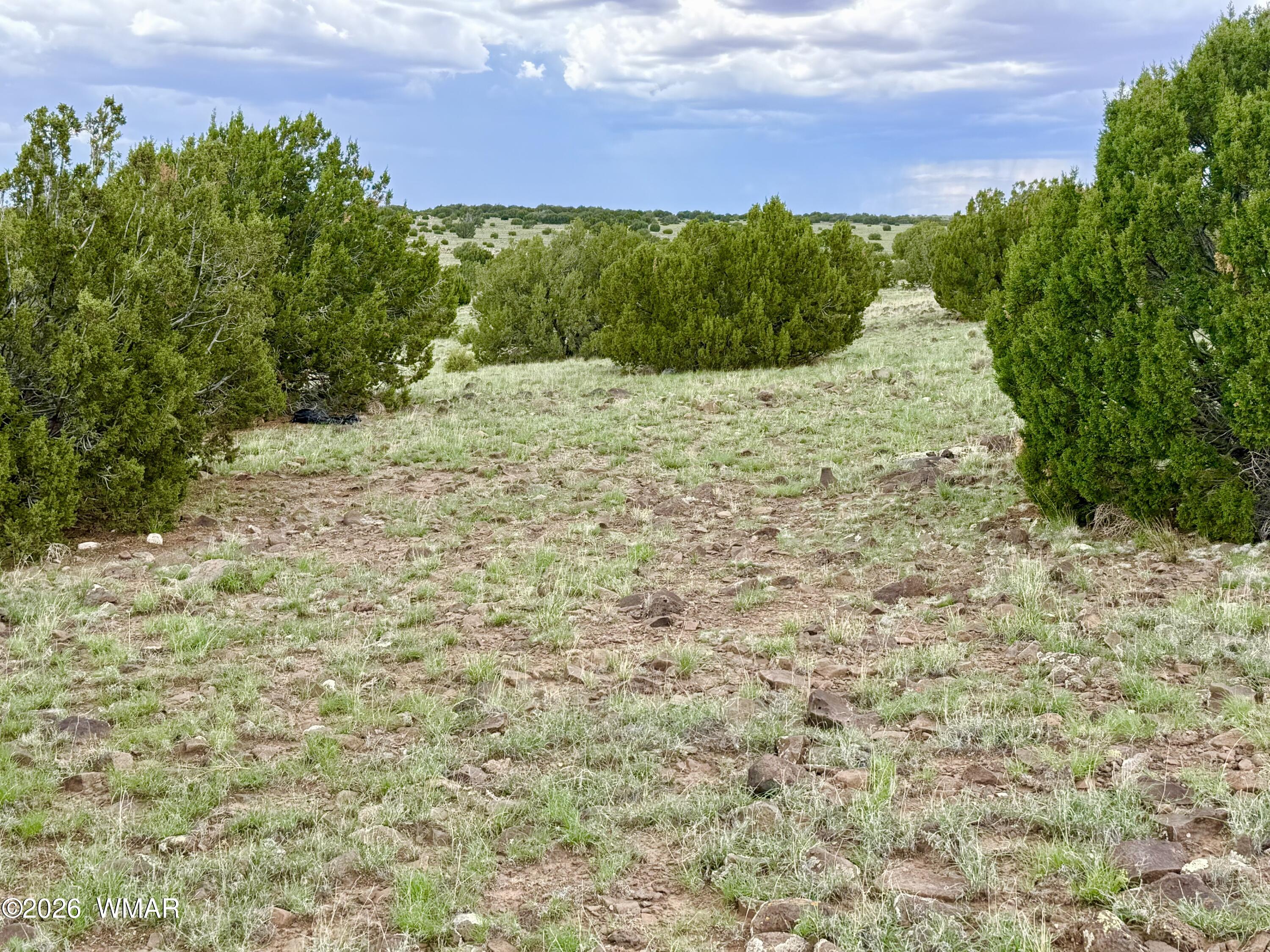 127 Co Road Concho, AZ 85924 - Photo 9 of 18 Gallery Image 9