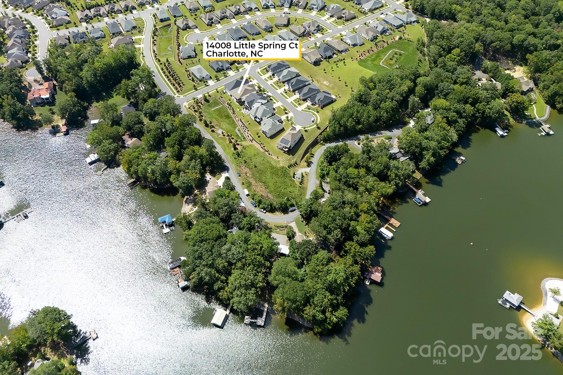 14008 Little Spring Court Charlotte, NC 28278 - Photo 40 of 44 a plant with lots of trees