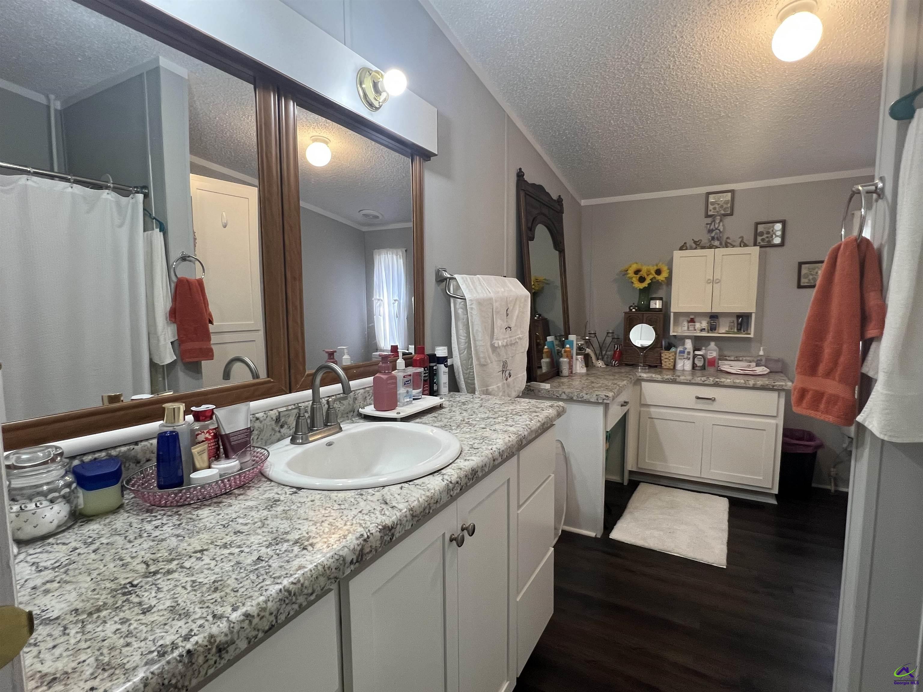 166 Pebble Hills Road Cochran, GA 31014 - Photo 24 of 27 a bathroom with a granite countertop sink and a mirror