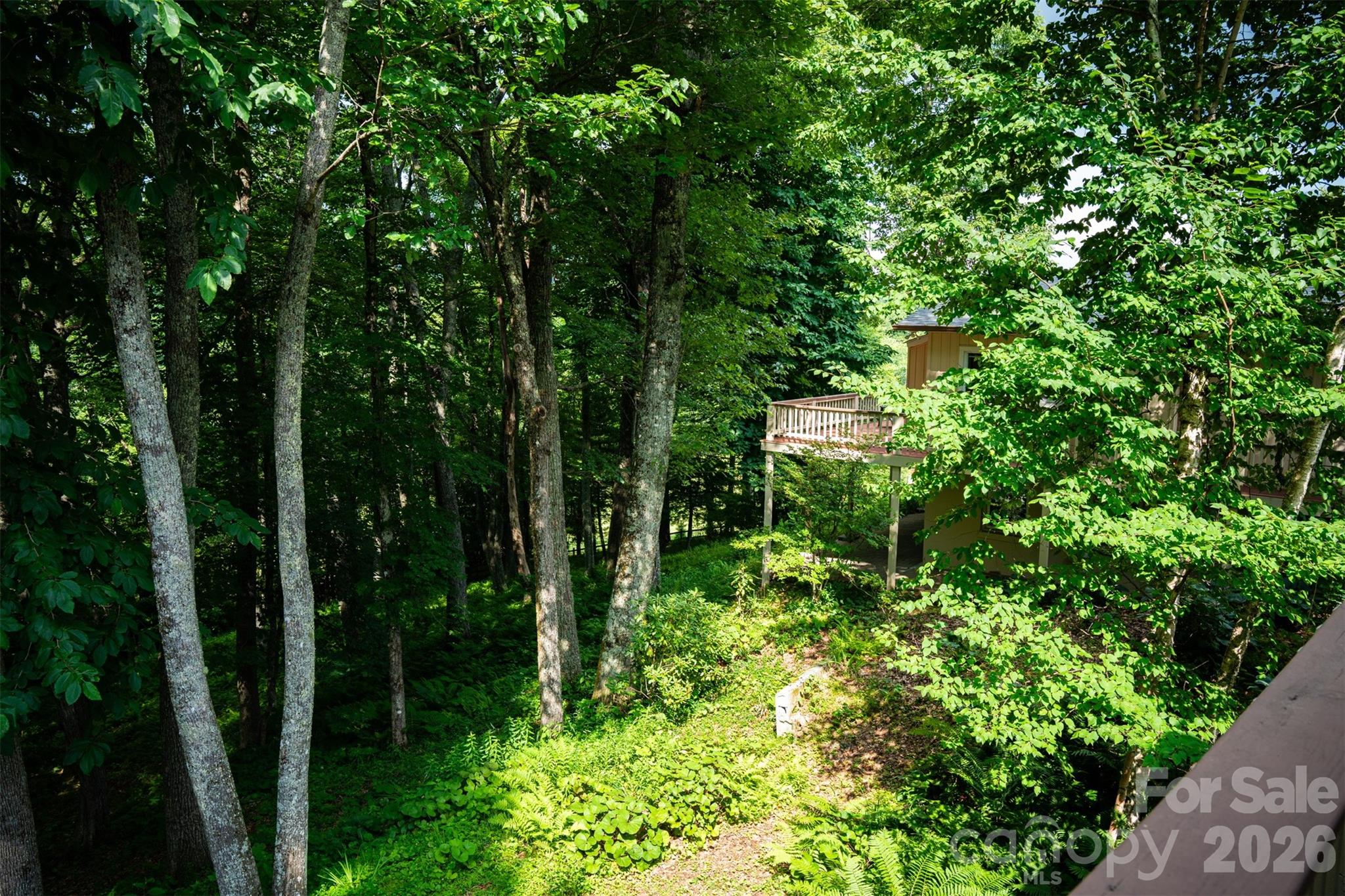 1967 McKinney Mine Road Spruce Pine, NC 28777 - Photo 40 of 48