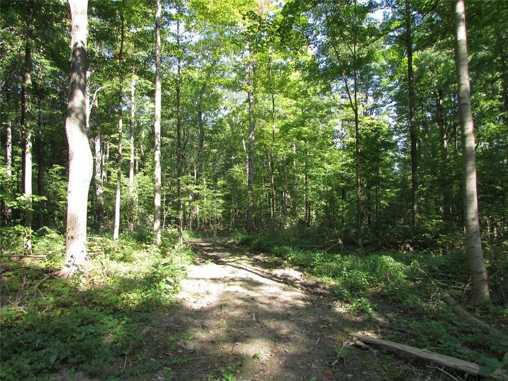 2032 West S R 274 Huntsville, OH 43324 - Photo 28 of 32