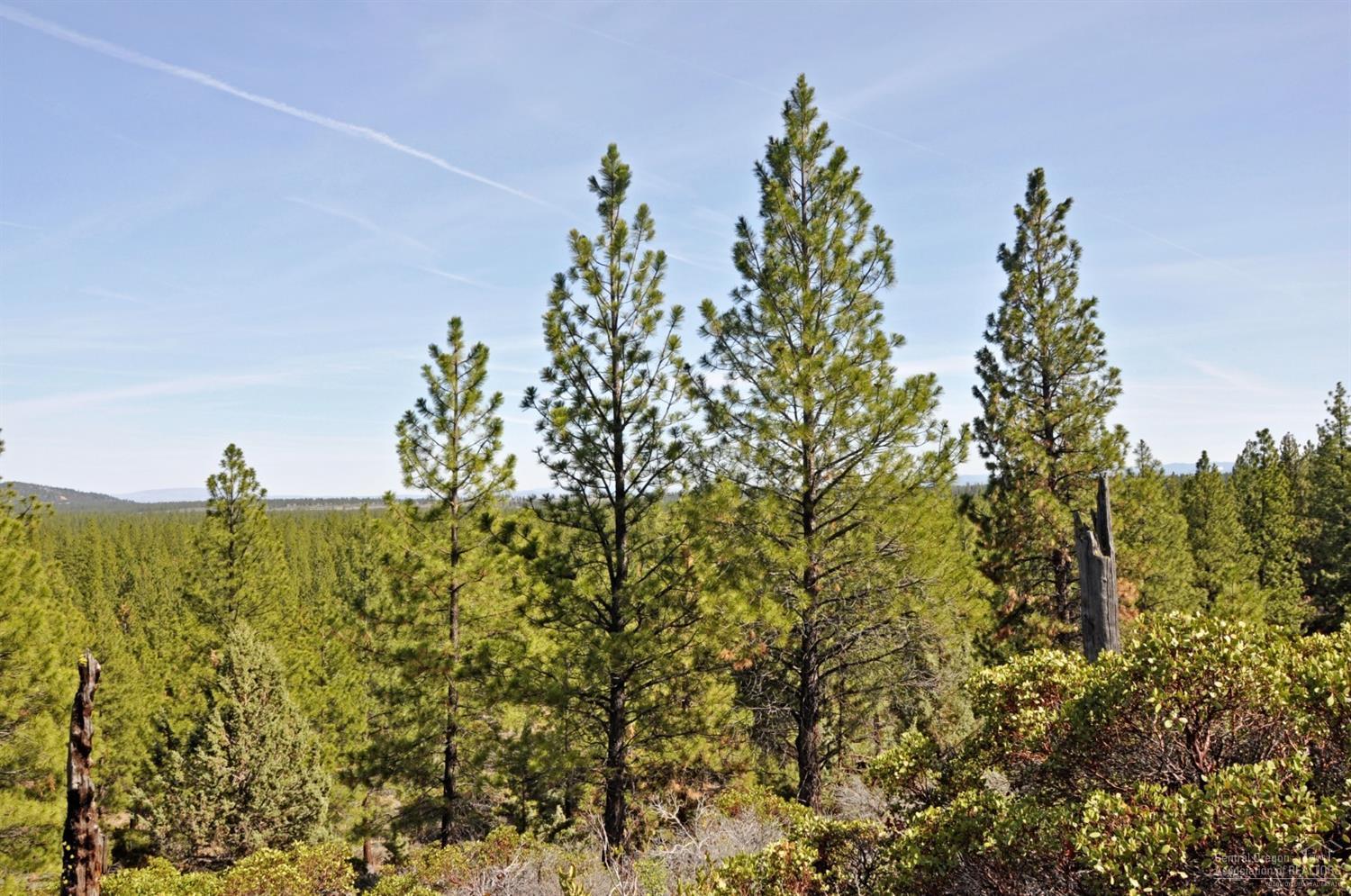 62755 Service Road Bend, OR 97703 - Photo 2 of 24 Middle of the property looking Southeast.