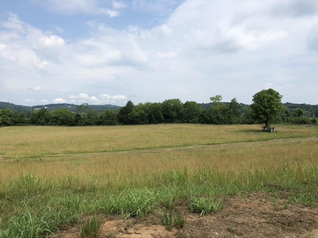 1013 Matlock Bend Road Philadelphia, TN 37846 - Photo 1 of 1 a view of a lake from a yard