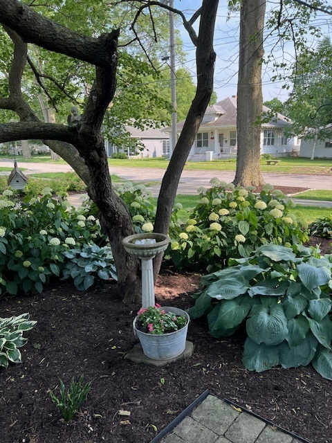 402 East Main Street Monticello, IL 61856 - Photo 13 of 22