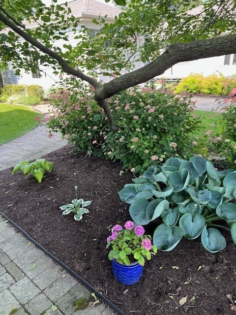 402 East Main Street Monticello, IL 61856 - Photo 14 of 22