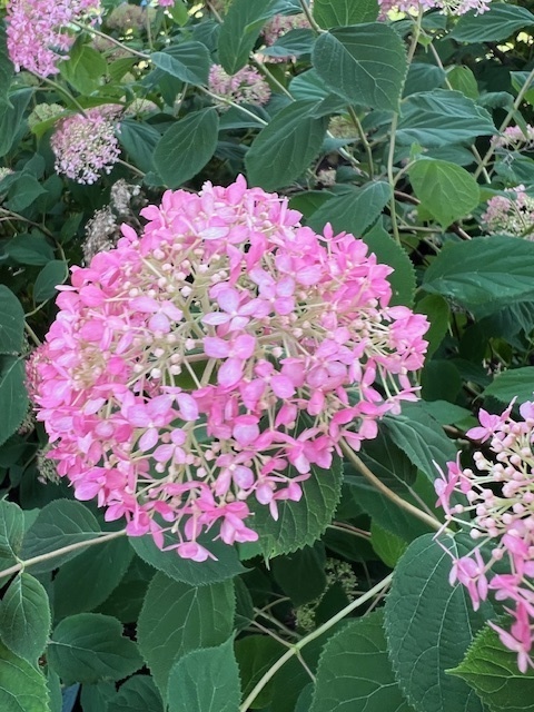 402 East Main Street Monticello, IL 61856 - Photo 17 of 22