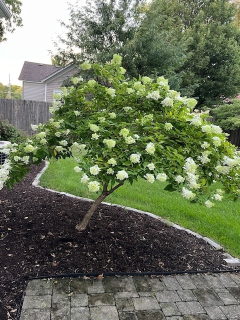 402 East Main Street Monticello, IL 61856 - Photo 19 of 22