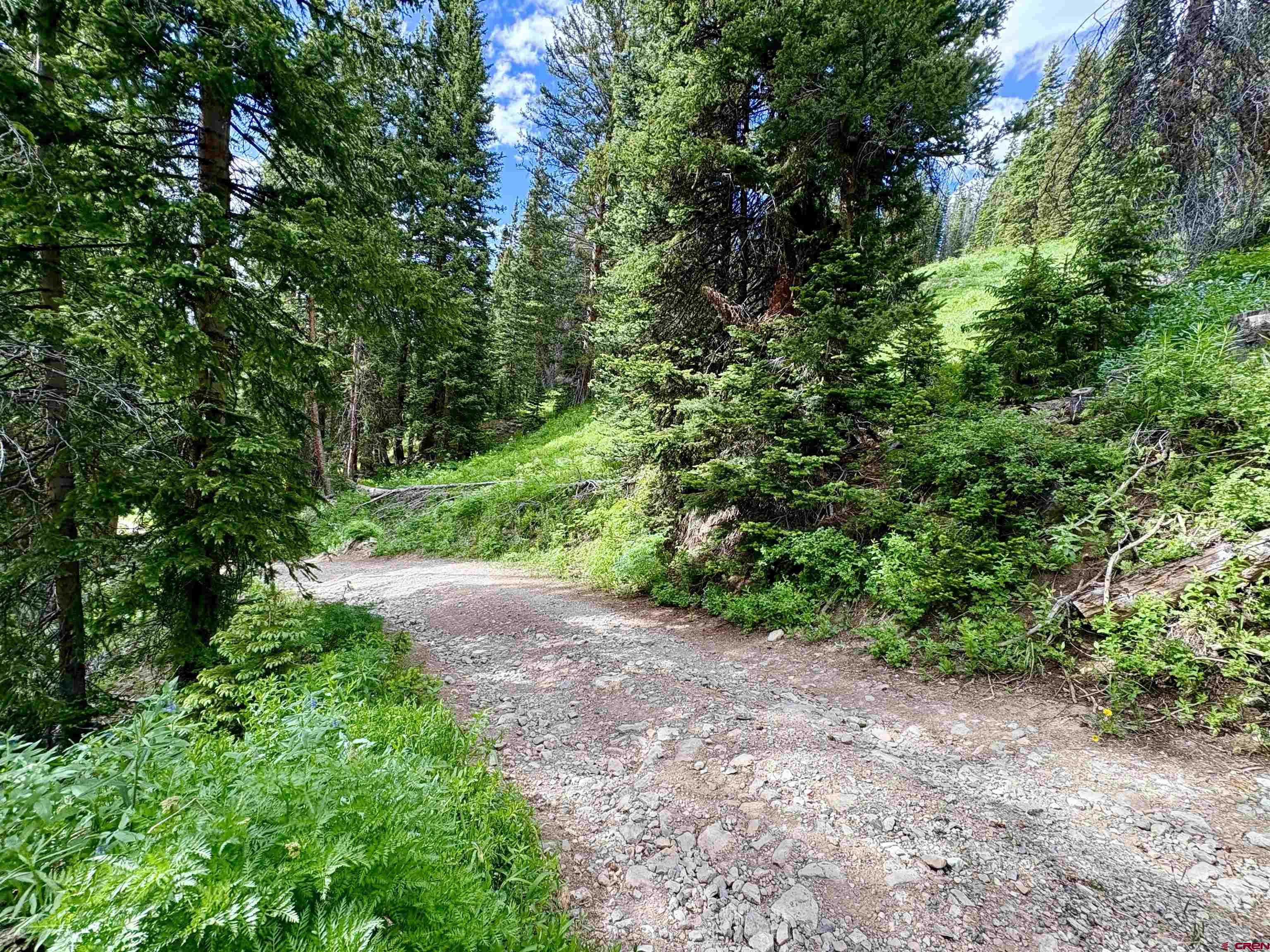 Tbd Tbd Copley Lake Road Crested Butte, CO 81224 - Photo 6 of 28