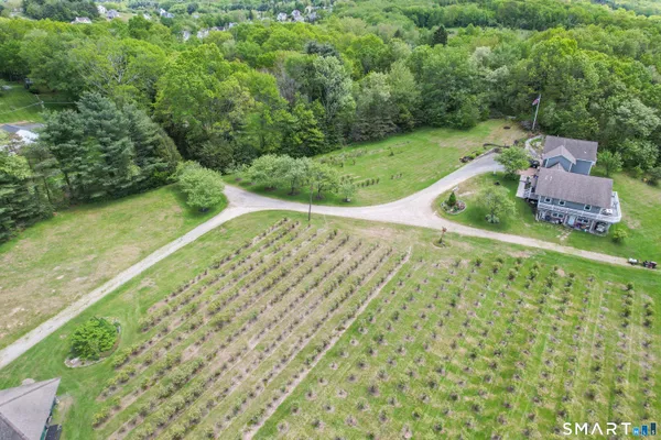 an aerial view of a house with a yard and lake view