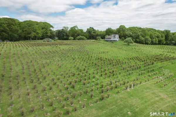 a view of a lush green space