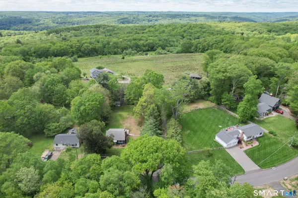 a view of a garden with a lake