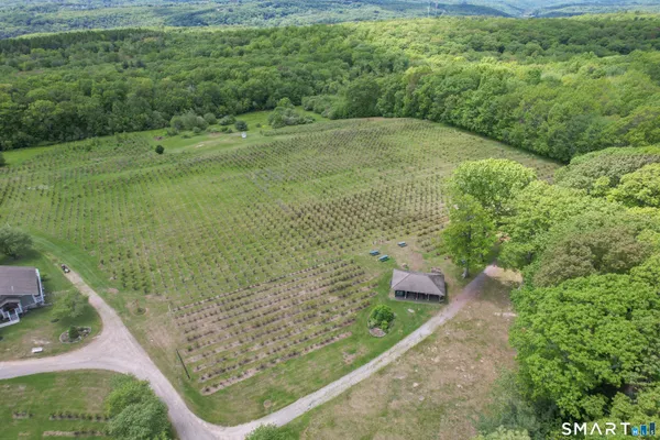 a view of a yard with potted plants