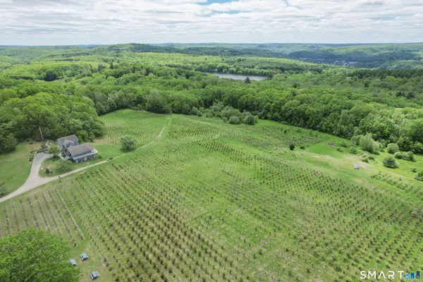 a view of a lush green space