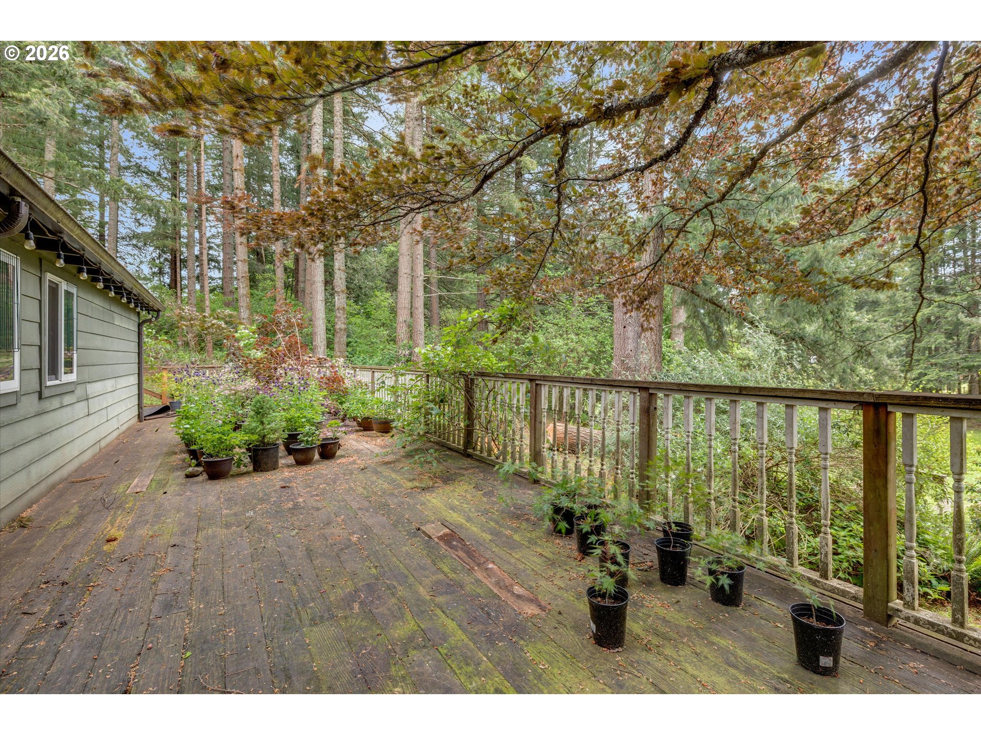 27360 South Kinzy Road Estacada, OR 97023 - Photo 10 of 46