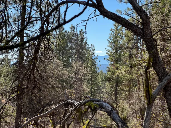 $12,500 | 0 Chamois Circle, Unit 1, Bonanza, OR 97623