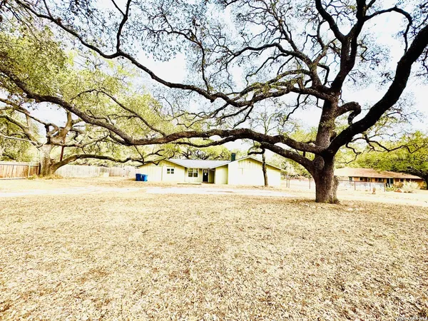 a white house that has a tree in front of it