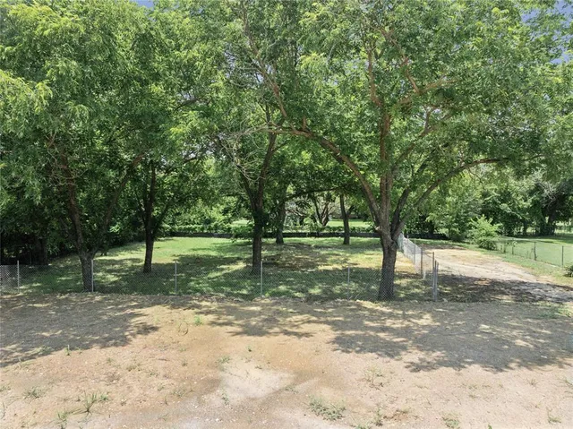 a view of a tree in the middle of a yard