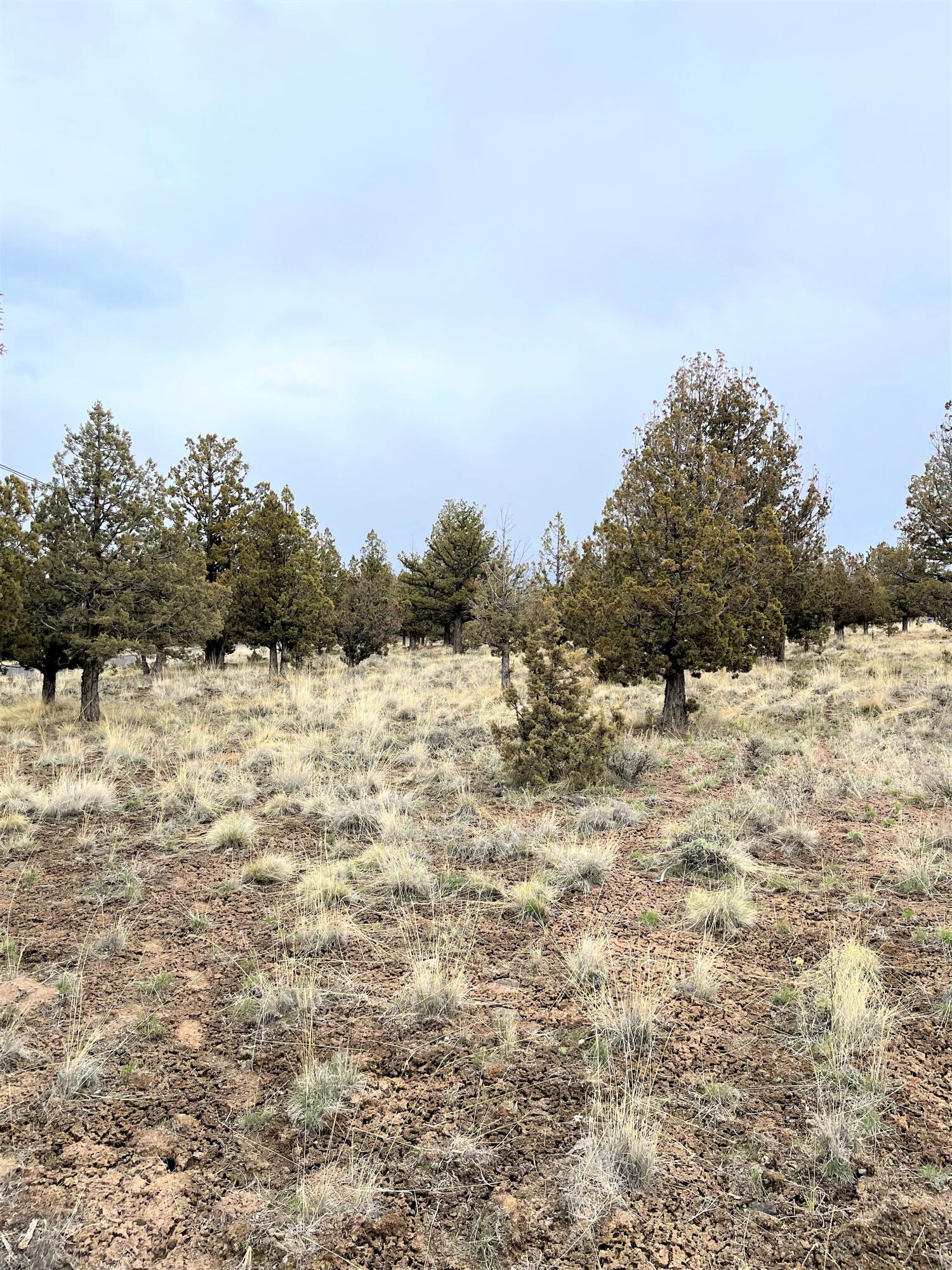 0 South E Pawnee Loop Prineville, OR 97754 - Photo 1 of 2 Pawnee Loop 1