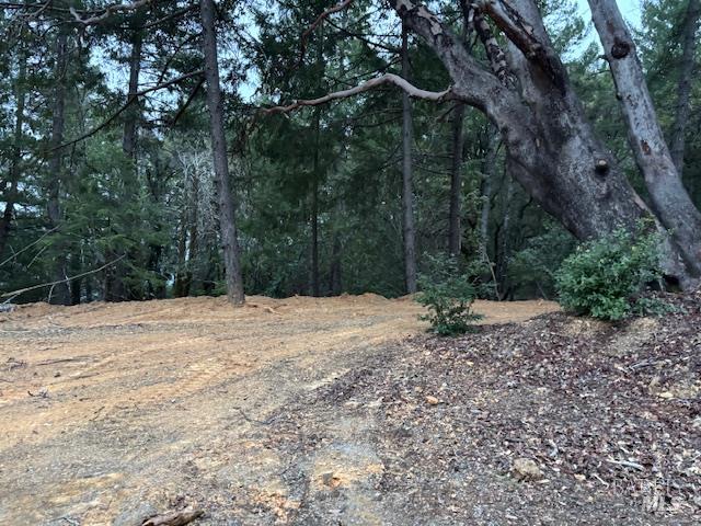 17707 Rockpile Road Geyserville, CA 95441 - Photo 10 of 22 a view of a backyard of the house