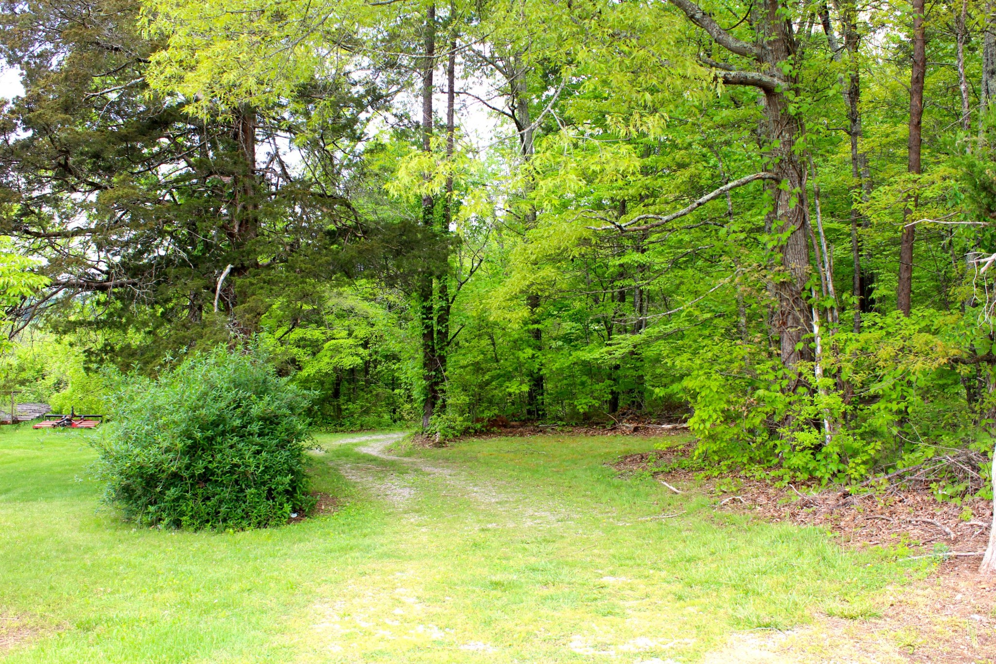 326 Briscoe Road Blaine, TN 37709 - Photo 36 of 37 Gallery Image 36