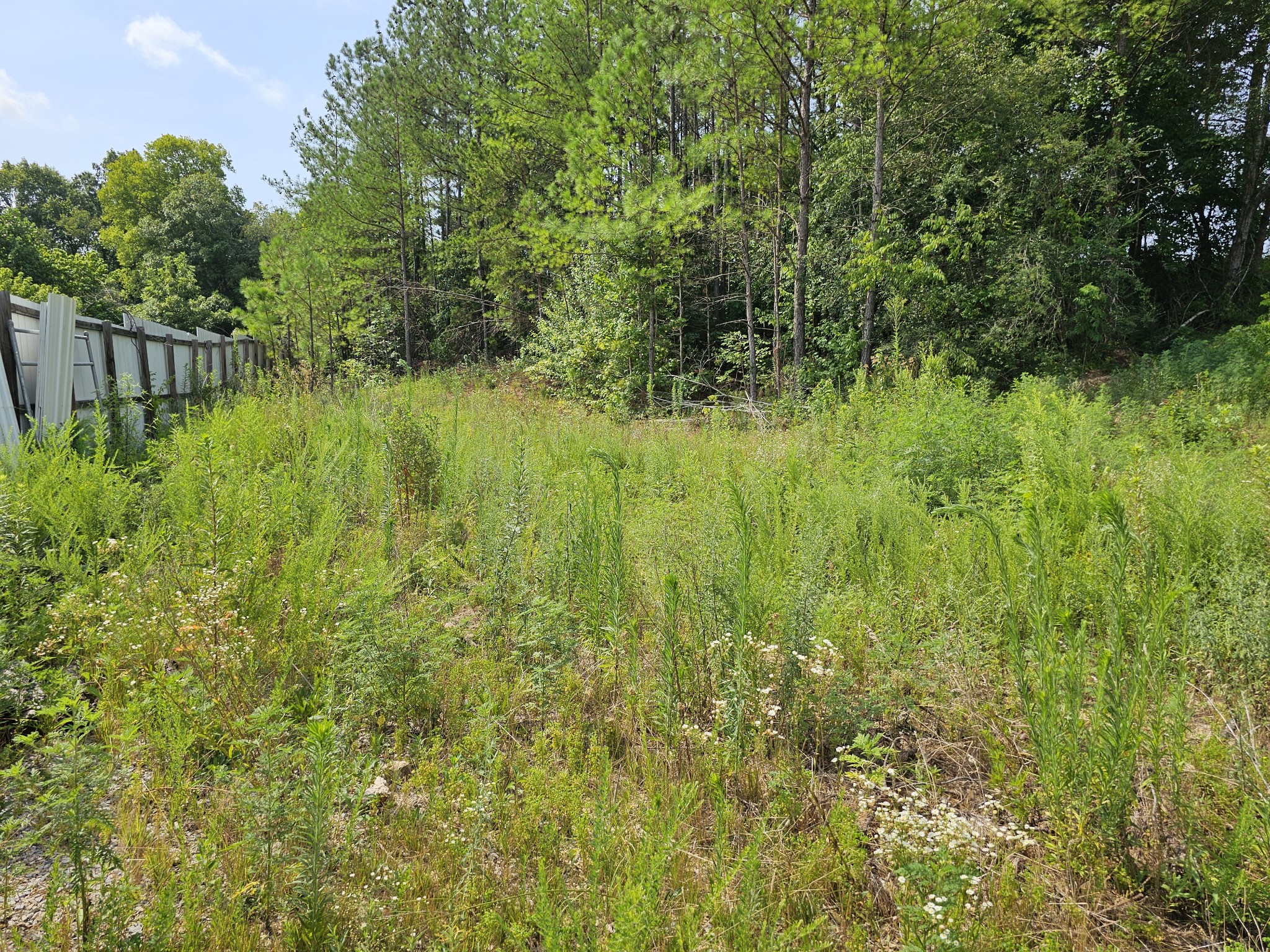 197 Henryville Road Ethridge, TN 38456 - Photo 3 of 8 Gallery Image 3