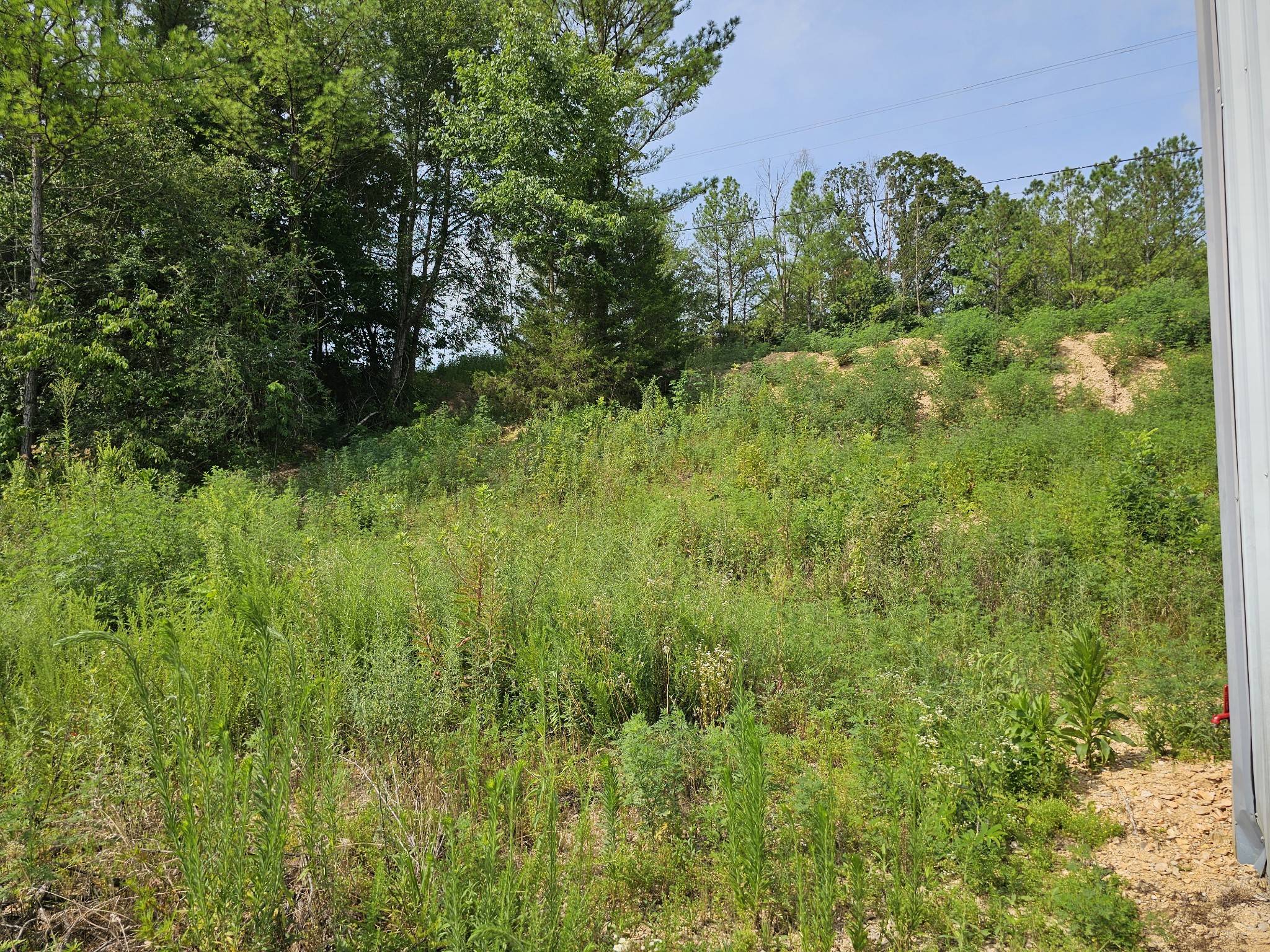 197 Henryville Road Ethridge, TN 38456 - Photo 4 of 8 Gallery Image 4