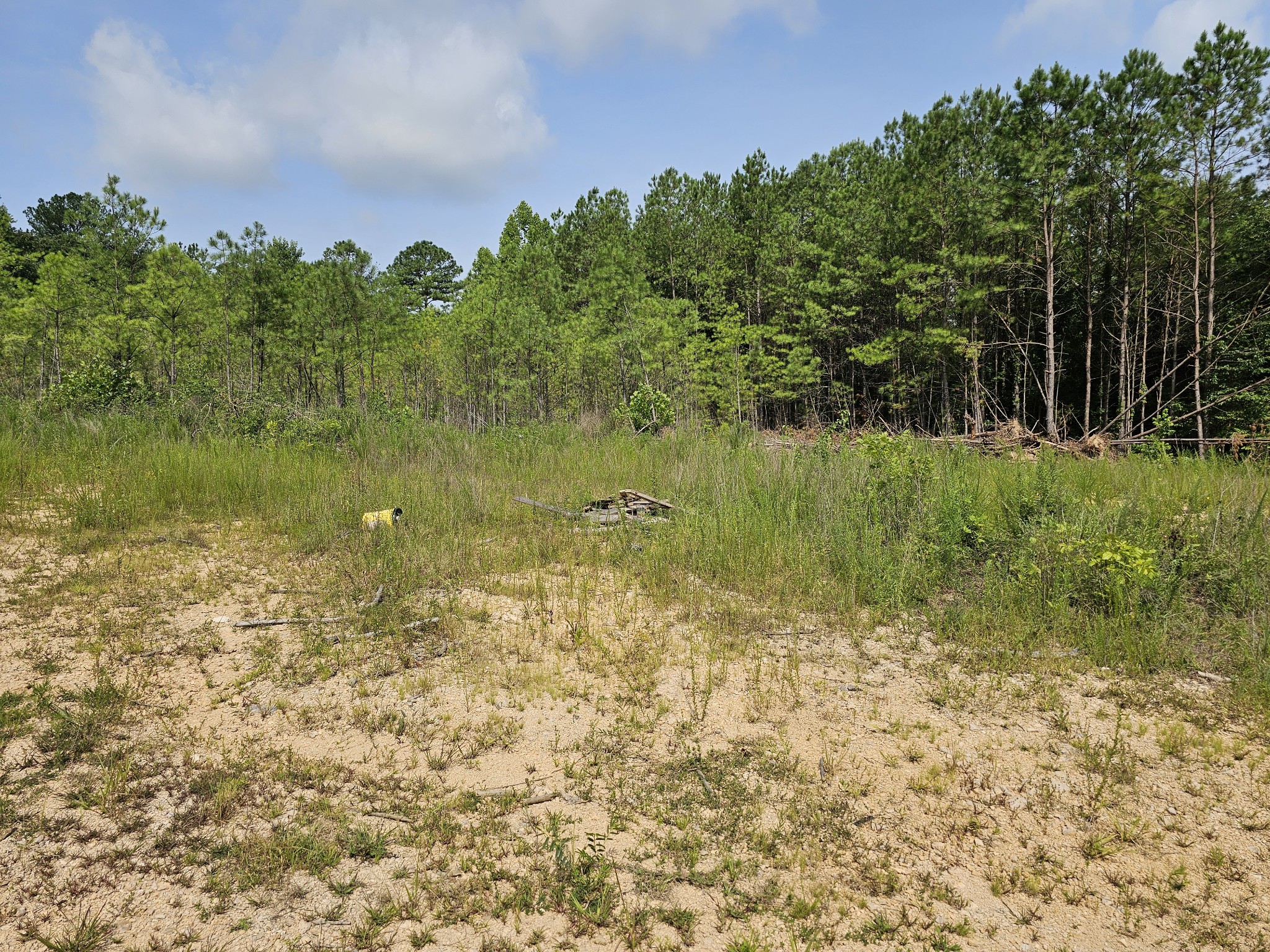 197 Henryville Road Ethridge, TN 38456 - Photo 5 of 8 Gallery Image 5