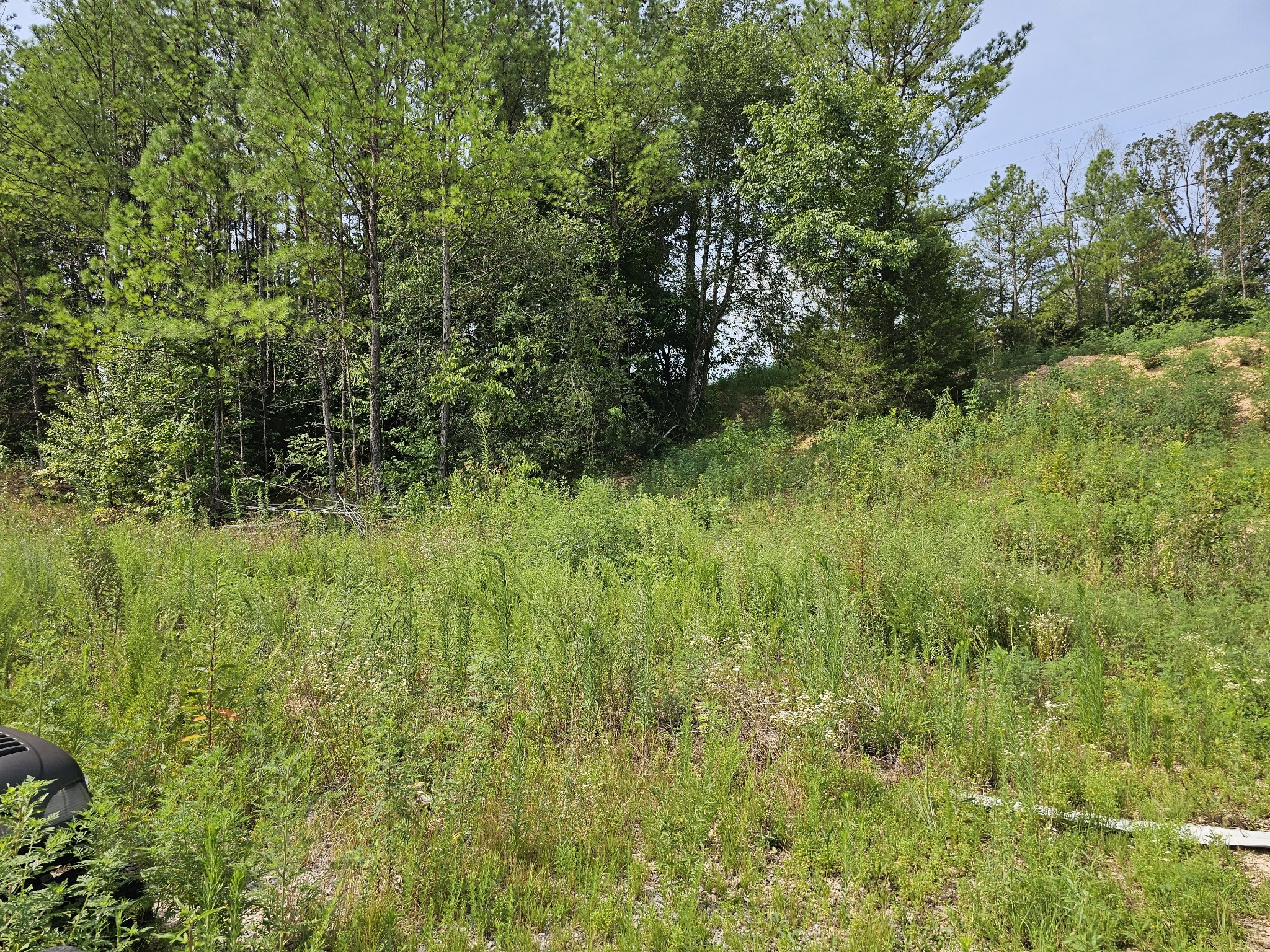 197 Henryville Road Ethridge, TN 38456 - Photo 6 of 8 Gallery Image 6