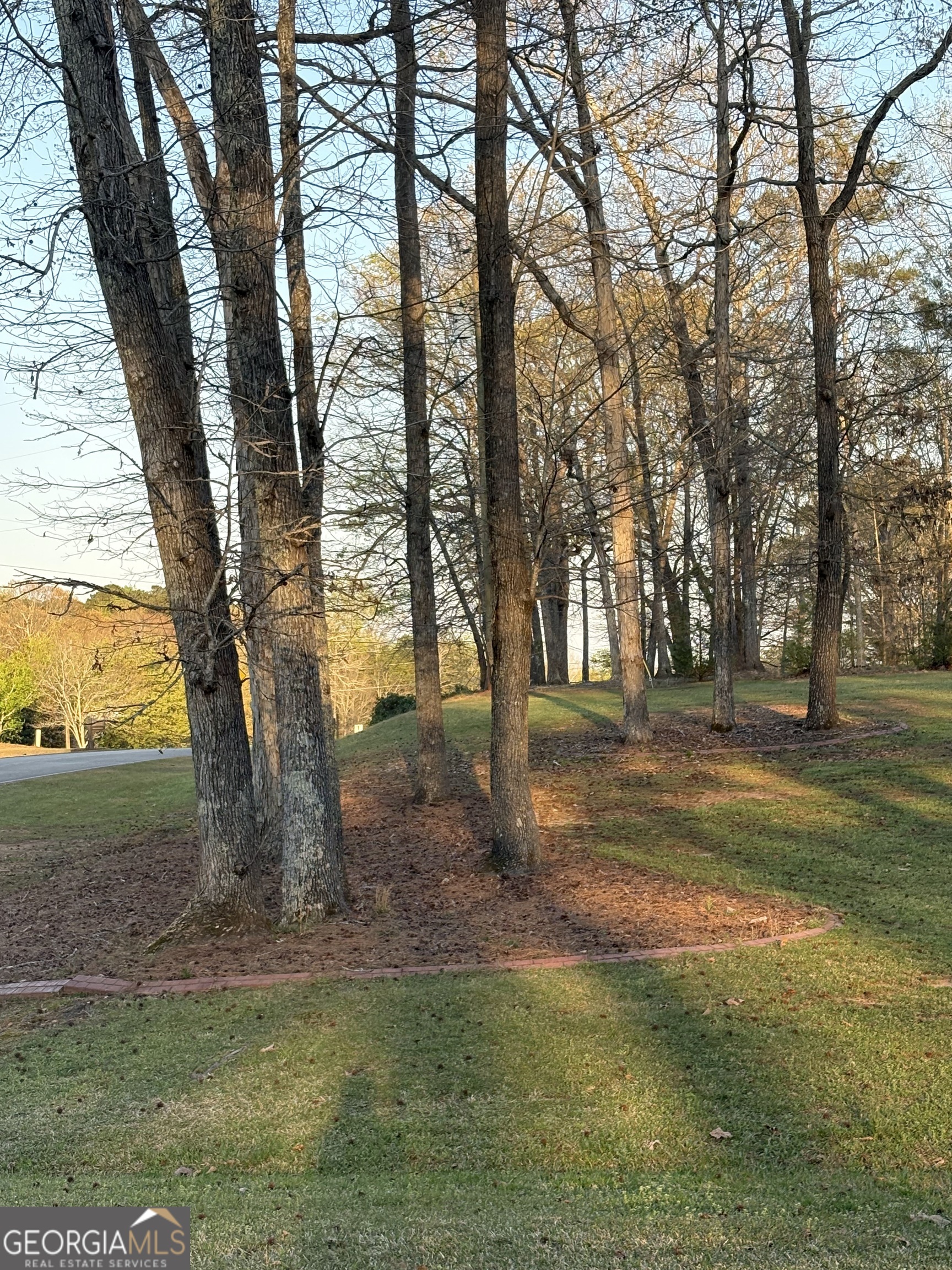 206 Oxford Road Griffin, GA 30223 - Photo 31 of 34 a view of outdoor space with trees