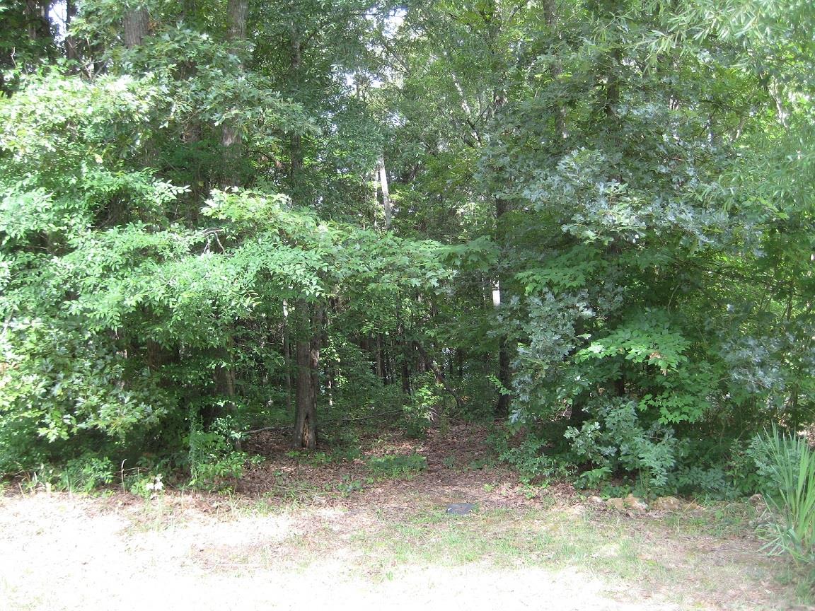 0 Ravine Drive Winchester, TN 37398 - Photo 6 of 6 Gallery Image 6