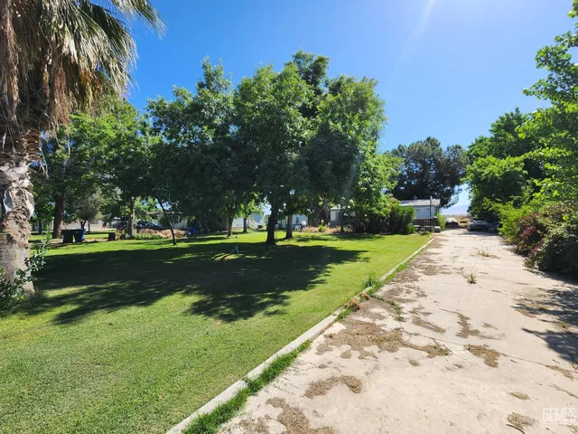 a view of a park with tree s