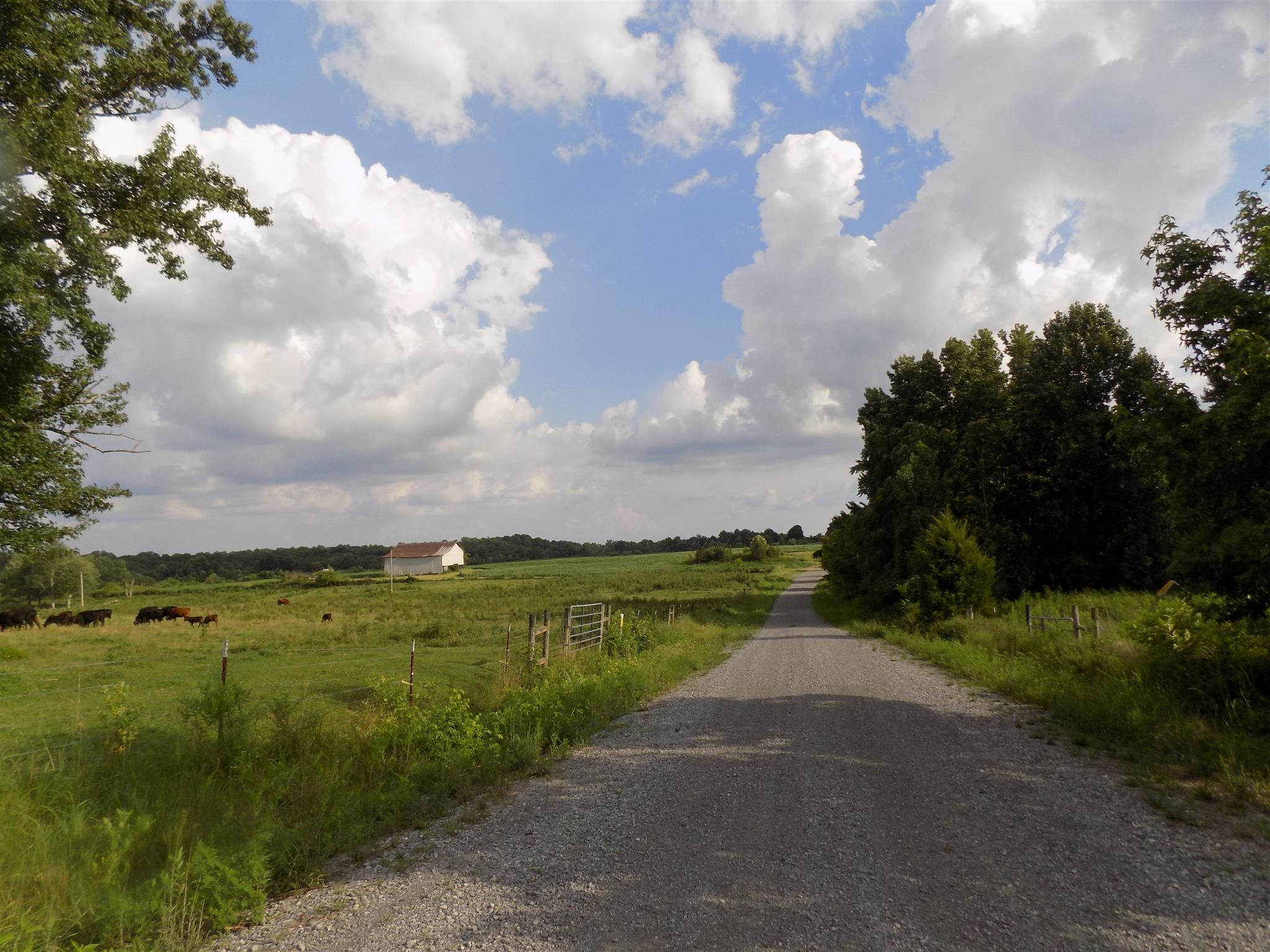 0 Womack Road Bethpage, TN 37022 - Photo 1 of 17 a view of a lake with a big yard