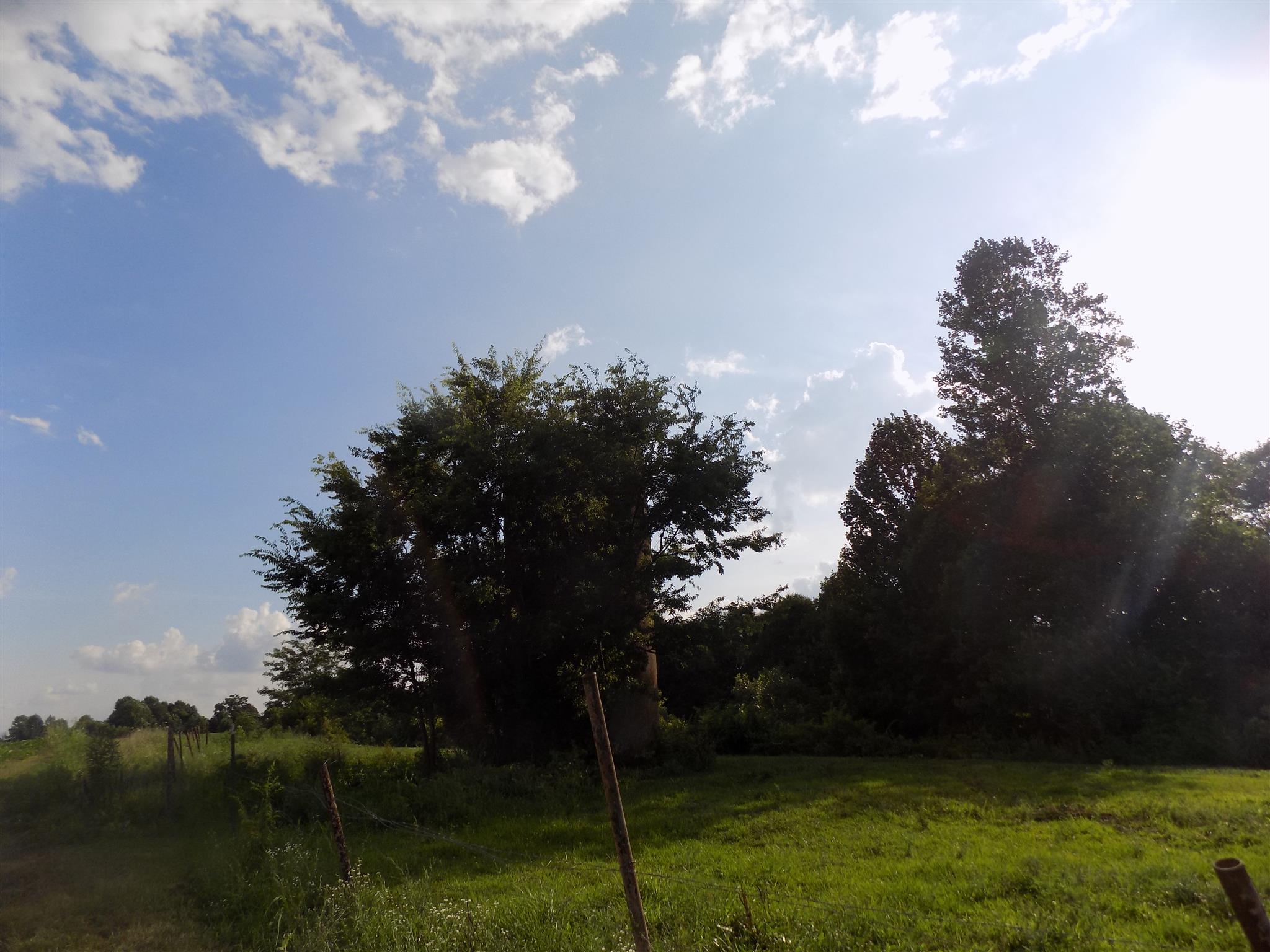 0 Womack Road Bethpage, TN 37022 - Photo 12 of 17 a view of a yard