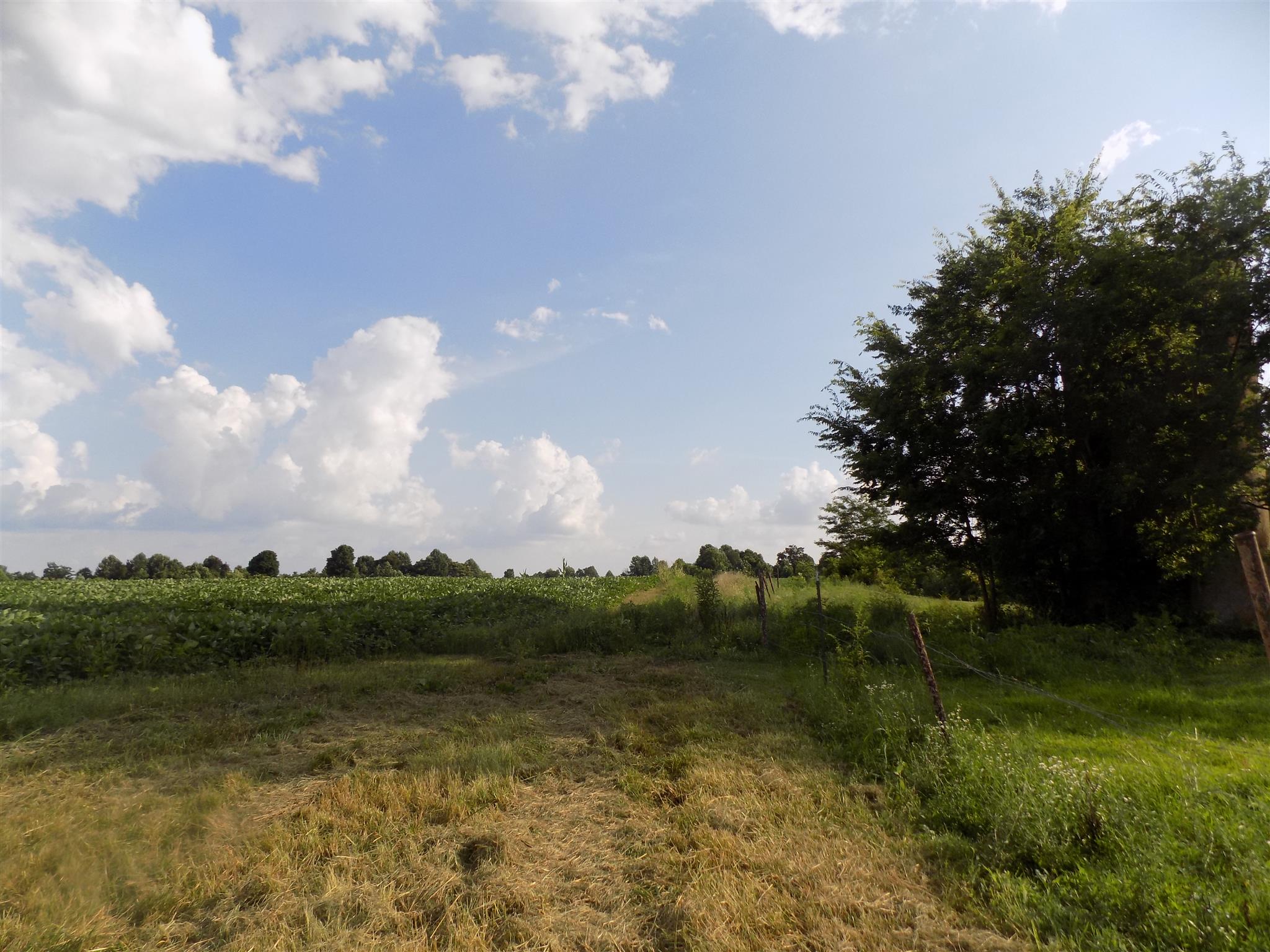 0 Womack Road Bethpage, TN 37022 - Photo 13 of 17 a view of lake with green space