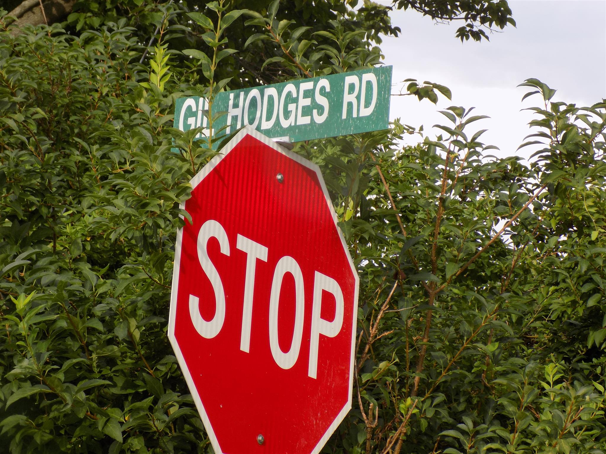 0 Womack Road Bethpage, TN 37022 - Photo 10 of 17 a view of a sign of a park