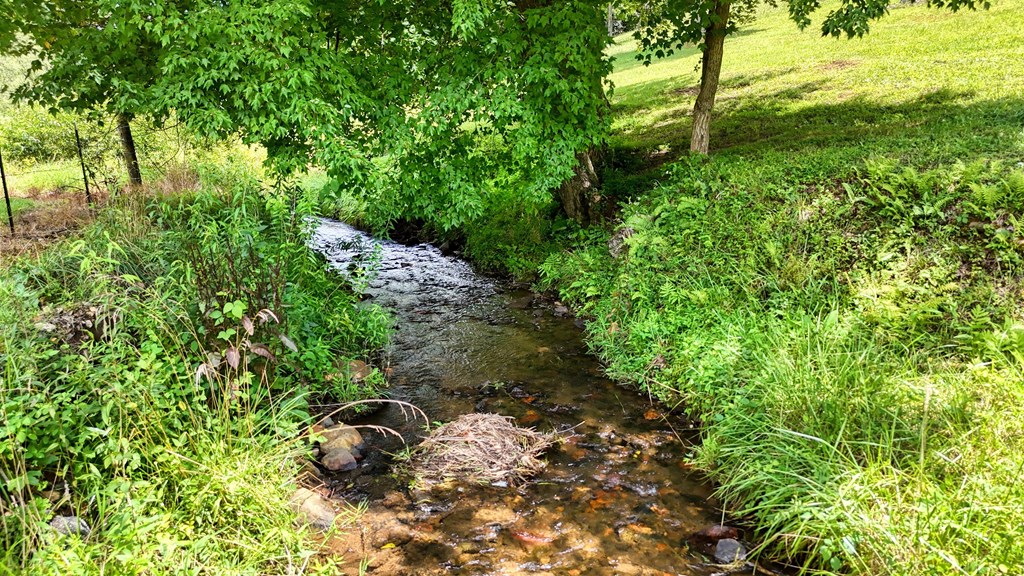 105 Evergreen Road Hiawassee, GA 30546 - Photo 3 of 53