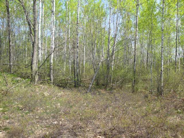 Lot 18 Autumn Lane Rhinelander, WI 54501 - Photo 3 of 9 Gallery Image 3