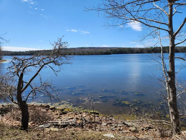 $450,000 | 141 Gross Point Road, Orland, ME 04472