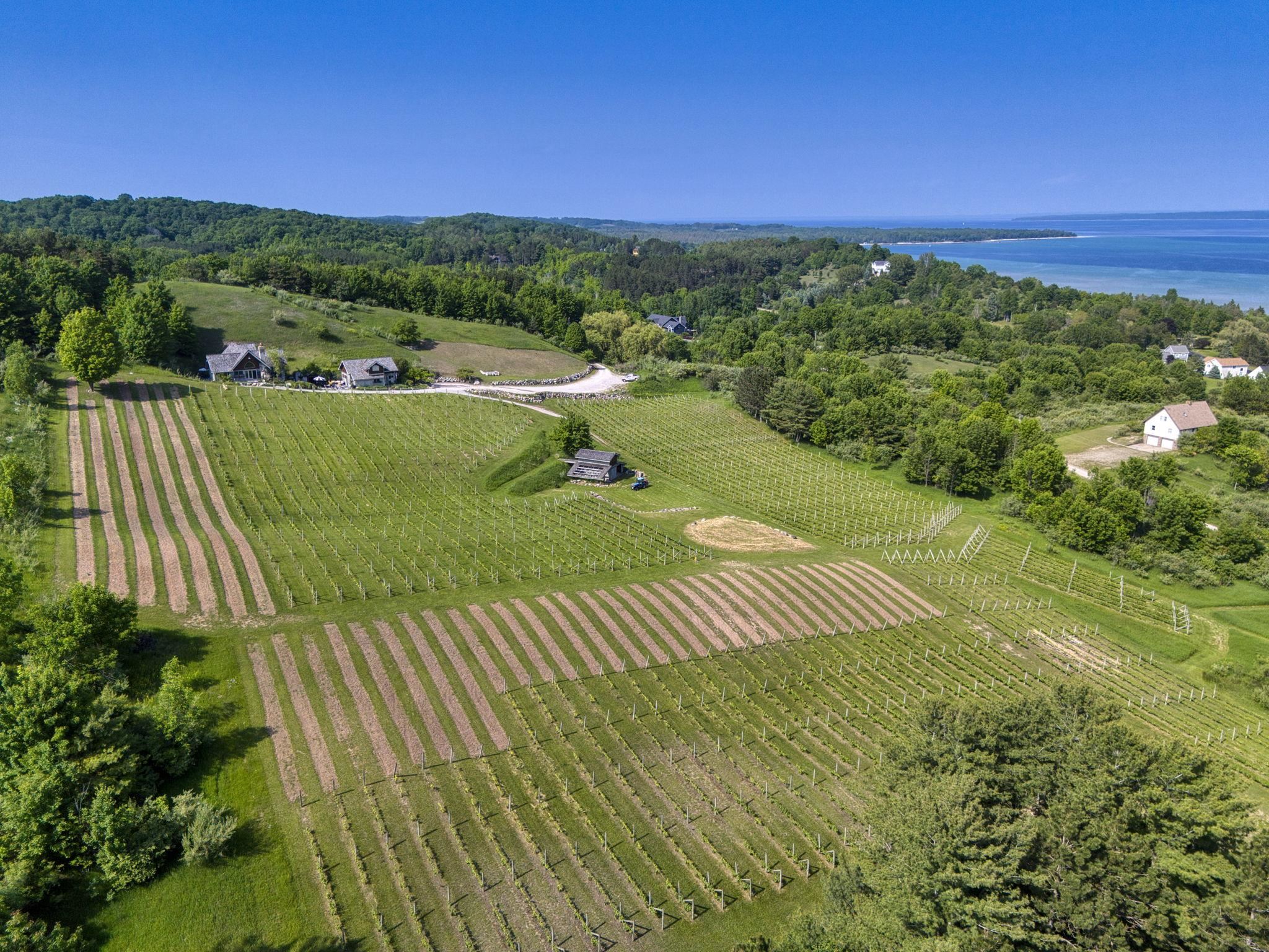 10702 East Hilltop Road Suttons Bay, MI 49682 - Photo 4 of 92