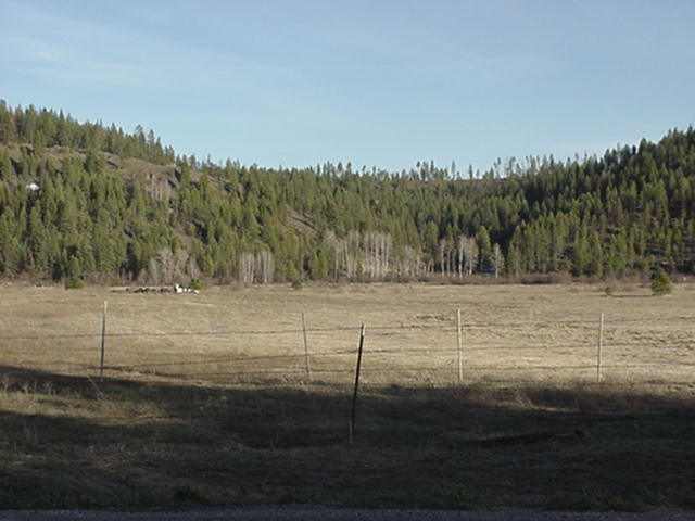 0 Springdale-hunter Springdale, WA 99173 - Photo 3 of 6